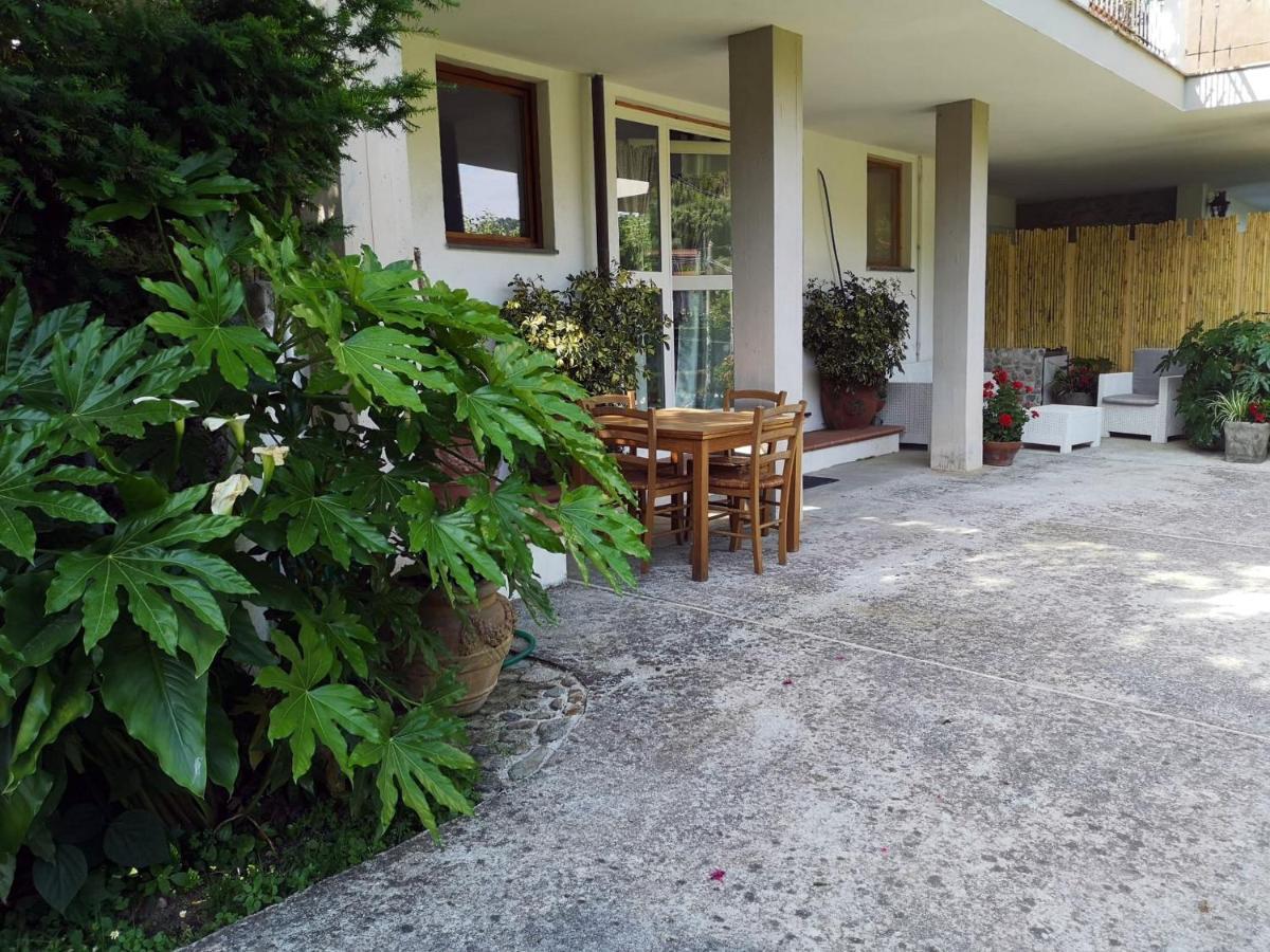 Parte Di Casa Con Giardino E Piscina Villa Pietrasanta Exterior photo