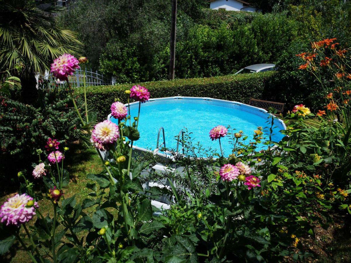 Parte Di Casa Con Giardino E Piscina Villa Pietrasanta Exterior photo